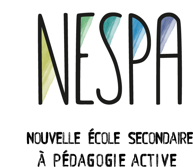 Logo NESPA couleur carre